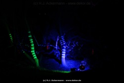 fotografie-25