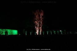 fotografie-26