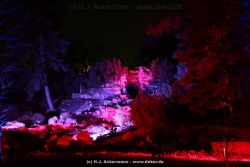 fotografie-34