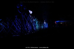 fotografie-40