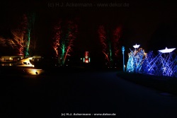 fotografie-41