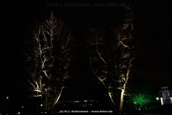 fotografie-180