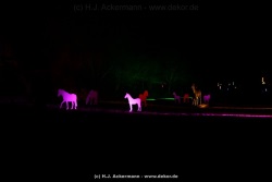 fotografie-59