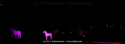 fotografie-134