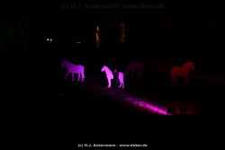 fotografie-141