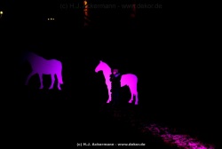 fotografie-76