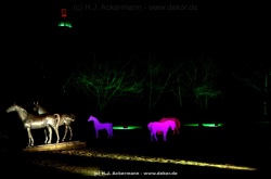 fotografie-200