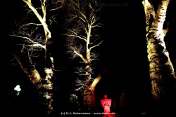 fotografie-10
