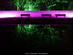fotografie-9