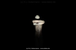 fotografie-121