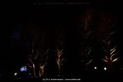 fotografie-13