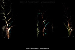 fotografie-17