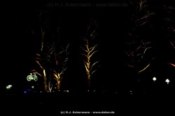 fotografie-175