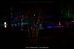 fotografie-169