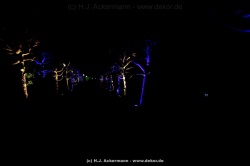 fotografie-80
