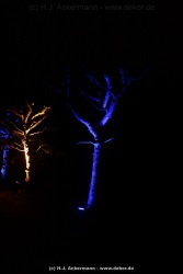 fotografie-95