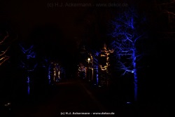 fotografie-83