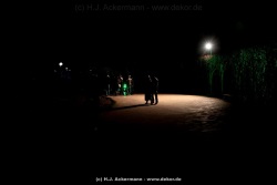 fotografie-177