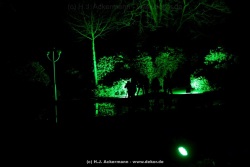 fotografie-124