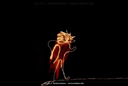 fotografie-166