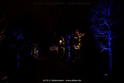 fotografie-138