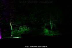 fotografie-136