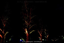 fotografie-163