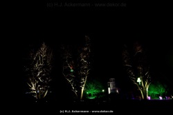 fotografie-45