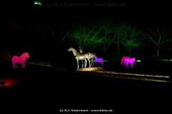 fotografie-1