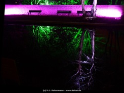 fotografie-5