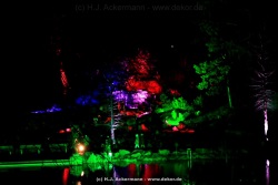 fotografie-39
