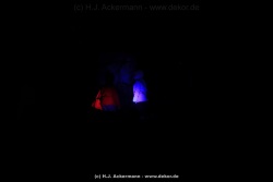 fotografie-65