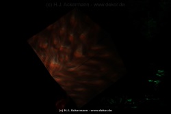 fotografie-73