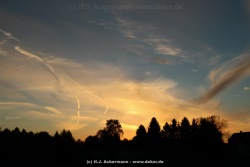 fotografie-201