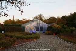 fotografie-28