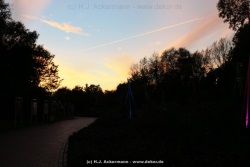 fotografie-12