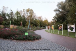 fotografie-120
