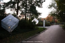 fotografie-142
