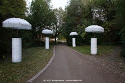 fotografie-11