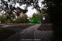 fotografie-16