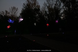 fotografie-121