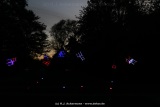 fotografie-12