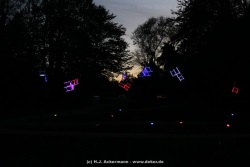 fotografie-89