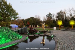 fotografie-15