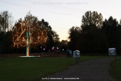fotografie-45