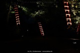 fotografie-22