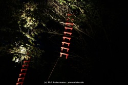 fotografie-21