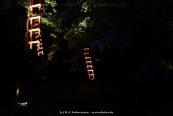 fotografie-92