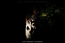 fotografie-23