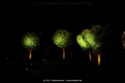 fotografie-6